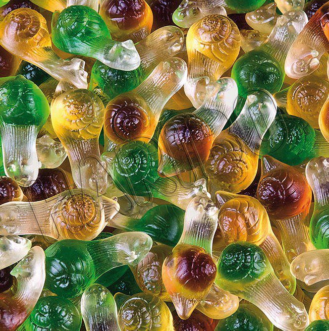 Caracol Brillo - 100Gr - Imagen 2