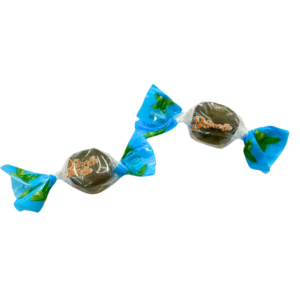 Dietorelle Menta 100Gr