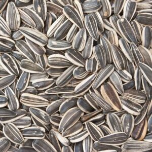 4813006 – sunflower seeds